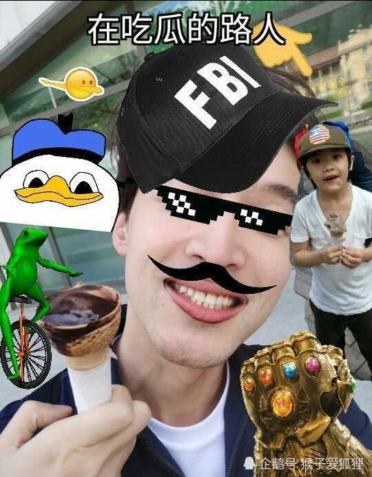 企鹅吃大瓜,揭秘企鹅吃大瓜的趣味瞬间