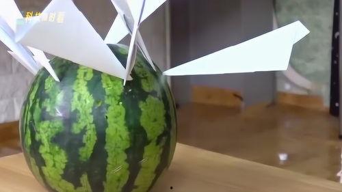 纸飞机如何吃瓜,趣味无限，轻松一夏