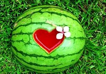 梦見吃瓜,揭秘吃瓜背后的神秘寓意