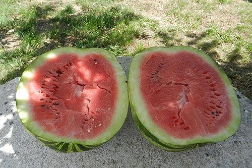 梦见吃瓜_买果子,瓜果飘香，揭秘梦境中的甜蜜诱惑