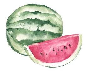 抱着吃瓜的意思,揭秘娱乐圈的幕后故事