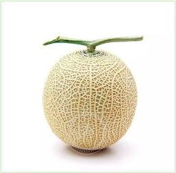 ppcg泡泡吃瓜解析,揭秘热门话题背后的真相与笑料