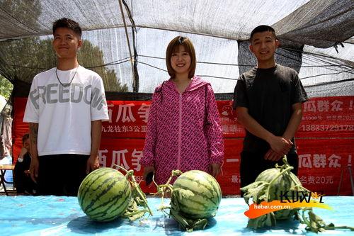 河北永平吃瓜,一场吃瓜盛宴背后的故事