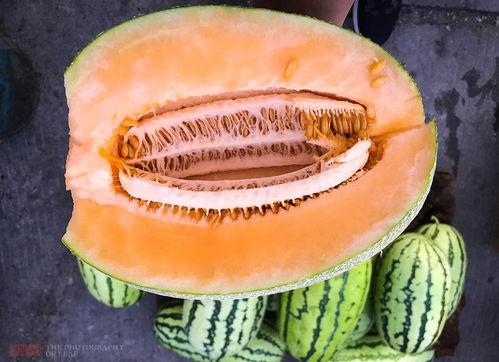 大哥吃哈密瓜