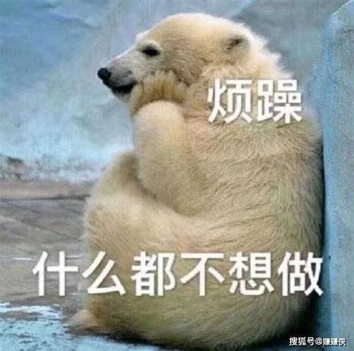 233吃瓜群众图片,网络热议背后的真实故事