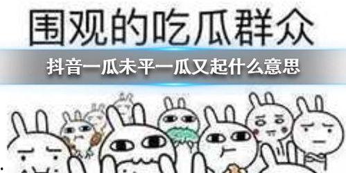 抖音你吃瓜吗是什么意思,你吃瓜吗背后的网络文化现象