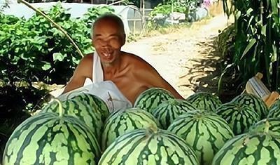 我在路边吃瓜,一场路边的美食邂逅