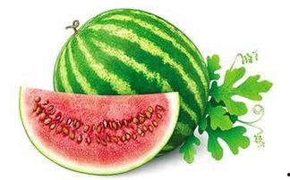 冬天吃内蒙瓜,探寻内蒙古冬季的独特美味