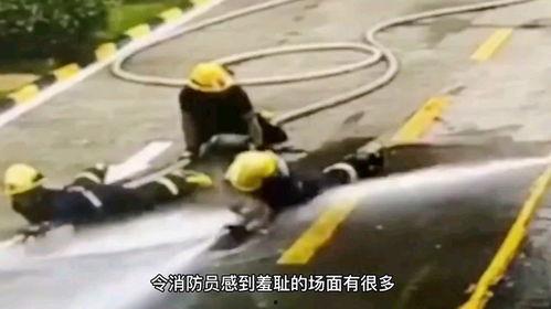 吃瓜被偷家,揭秘网络诈骗背后的真相